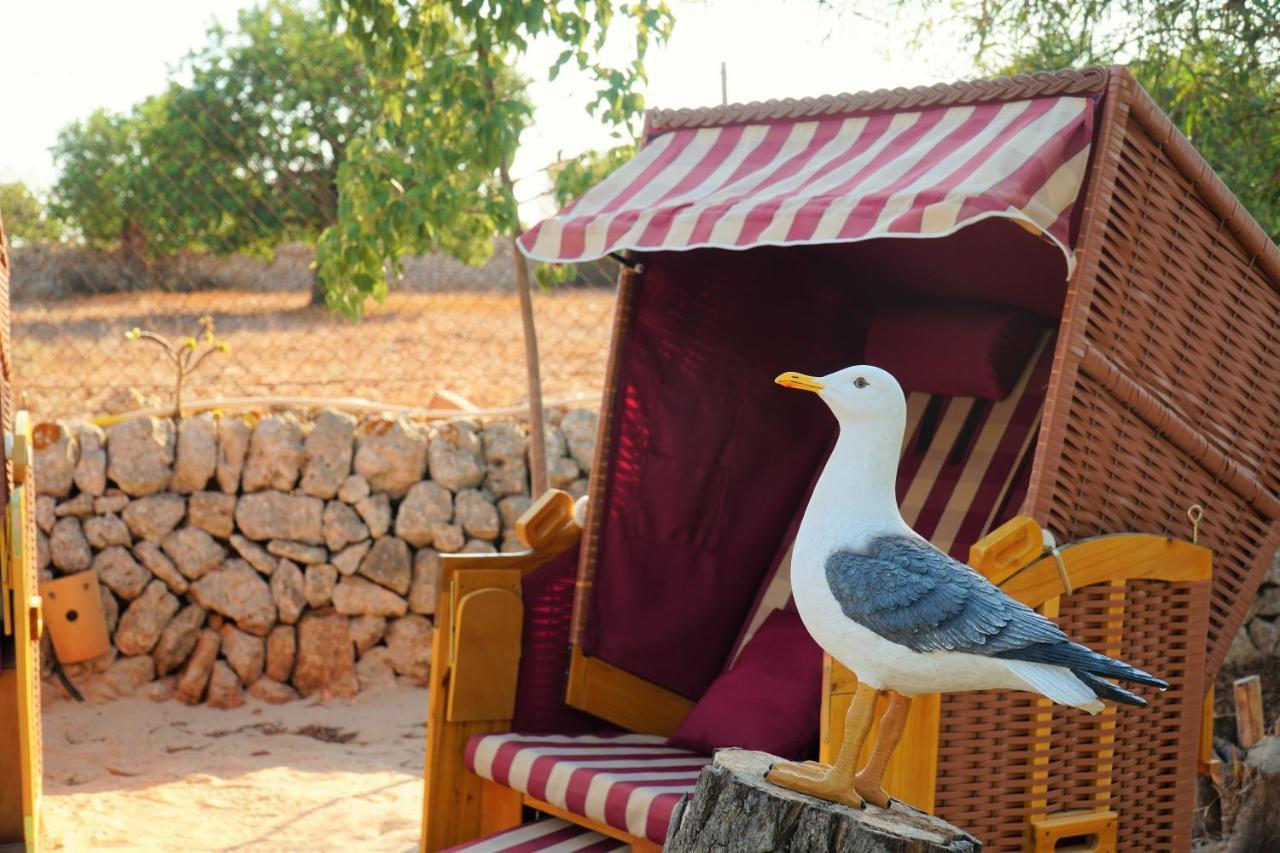 Agroturismo Finca Sa Tanca Cala D´Or Εξωτερικό φωτογραφία