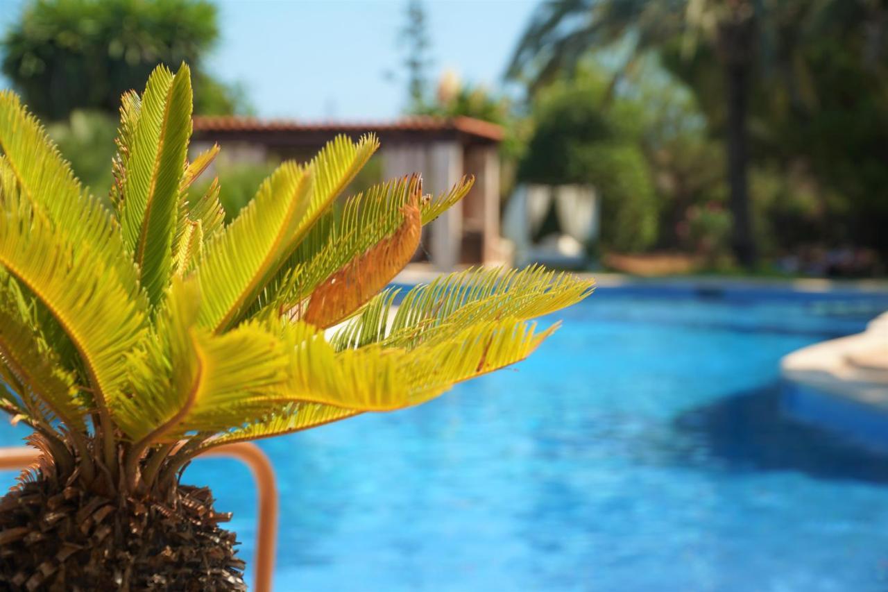 Agroturismo Finca Sa Tanca Cala D´Or Εξωτερικό φωτογραφία