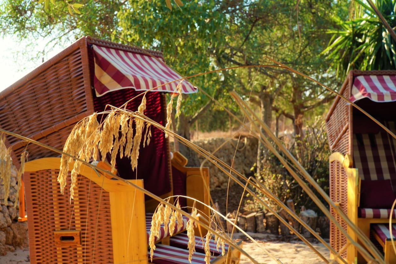 Agroturismo Finca Sa Tanca Cala D´Or Εξωτερικό φωτογραφία