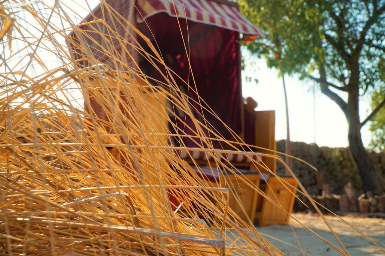 Agroturismo Finca Sa Tanca Cala D´Or Εξωτερικό φωτογραφία