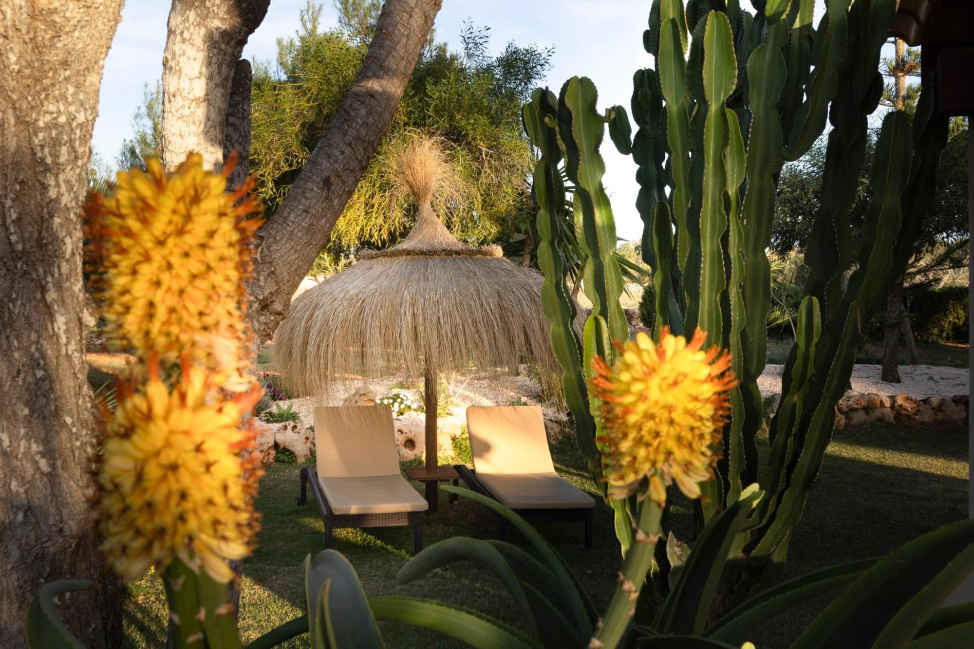 Agroturismo Finca Sa Tanca Cala D´Or Εξωτερικό φωτογραφία