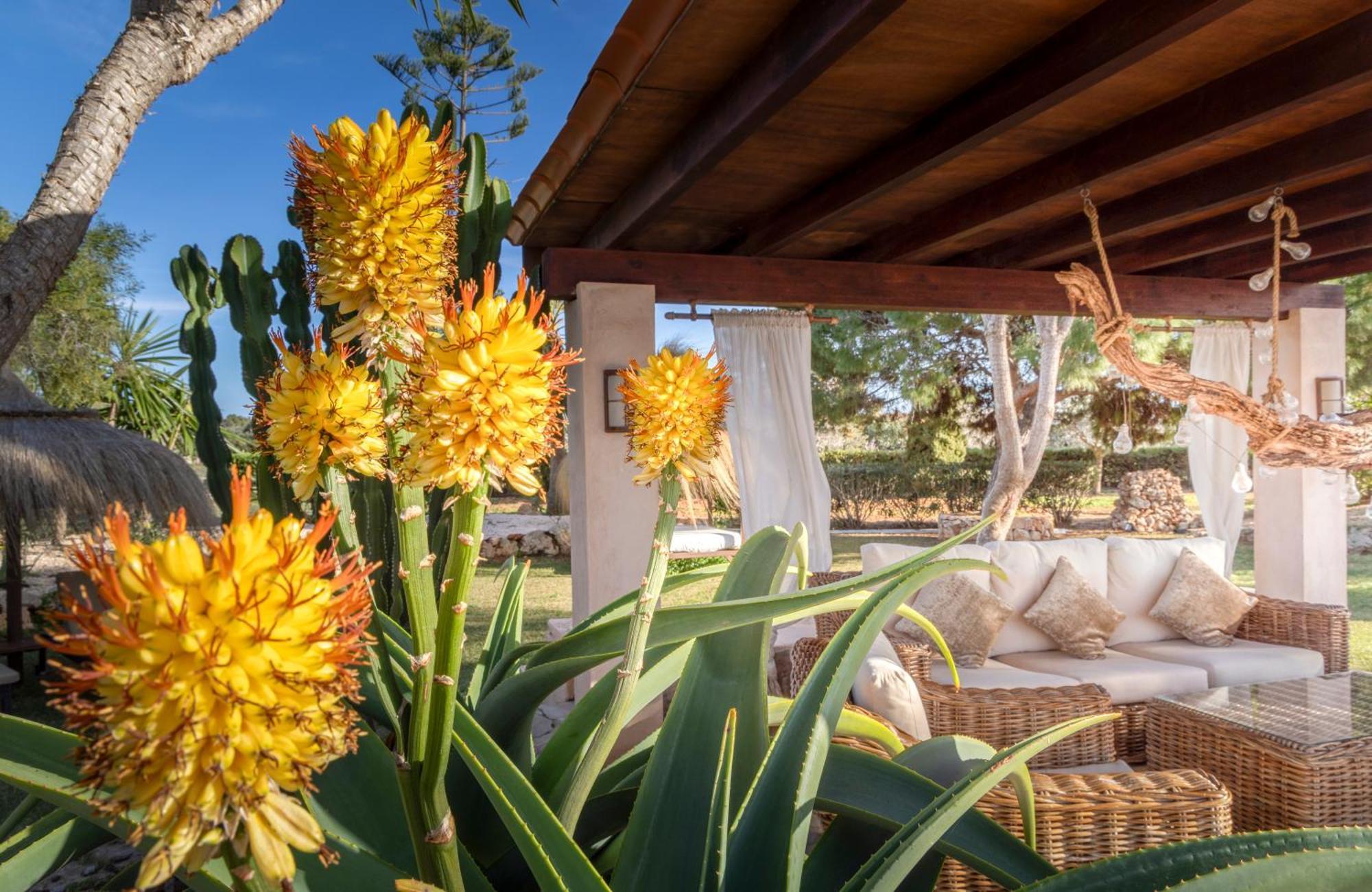 Agroturismo Finca Sa Tanca Cala D´Or Εξωτερικό φωτογραφία